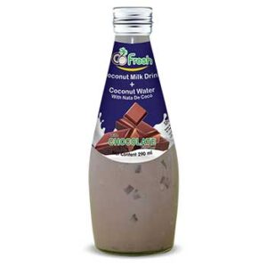 CHOCOLATE COCONUT MILK DRINK 290ML